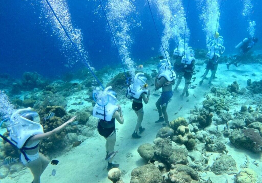 Sea Trek